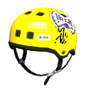 Skate Helmet