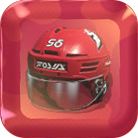 Hockey Helmet