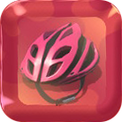 Bike Helmet