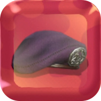 Special Forces Beret